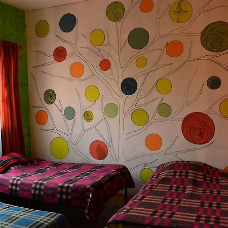Chill Hostel Mexico City Room photo