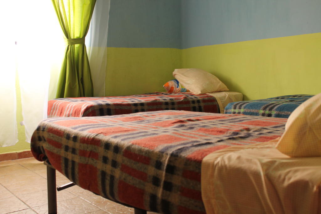 Chill Hostel Mexico City Room photo